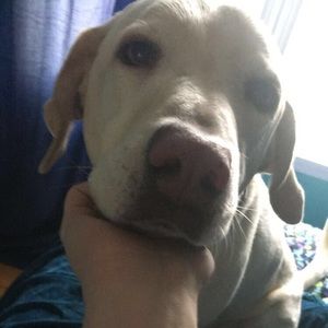 Meet your Posher, Juliana